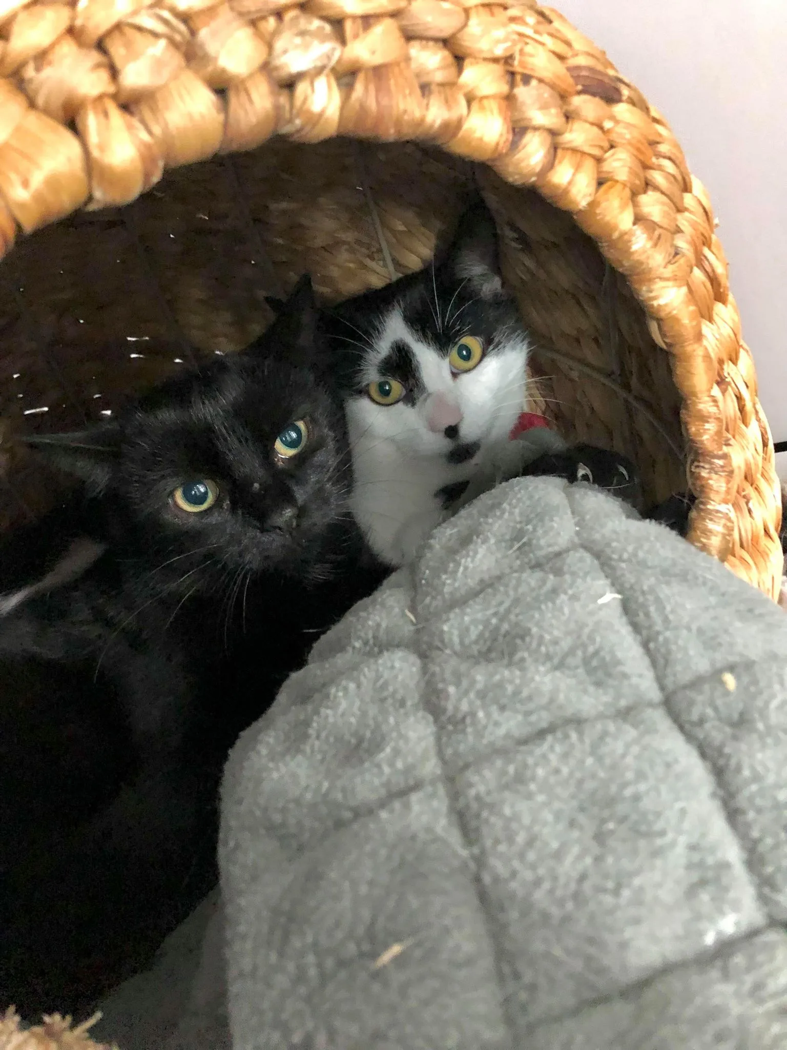 Magic & Skye