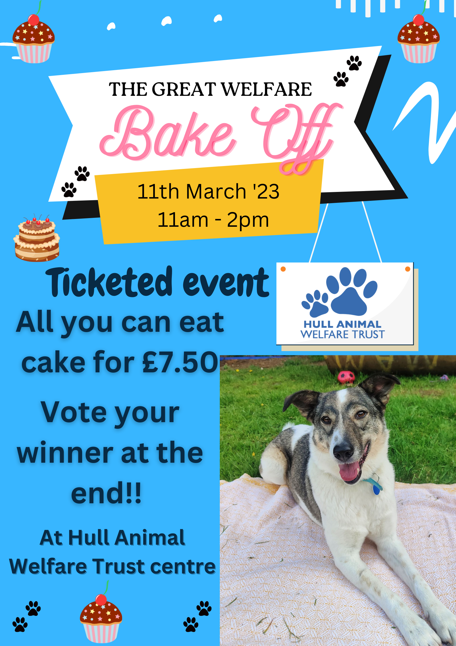 The Great Welfare Bake off – Saturday 11th March 2023 – Hull Animal Welfare