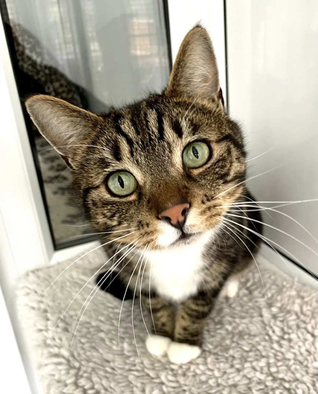 Murphy