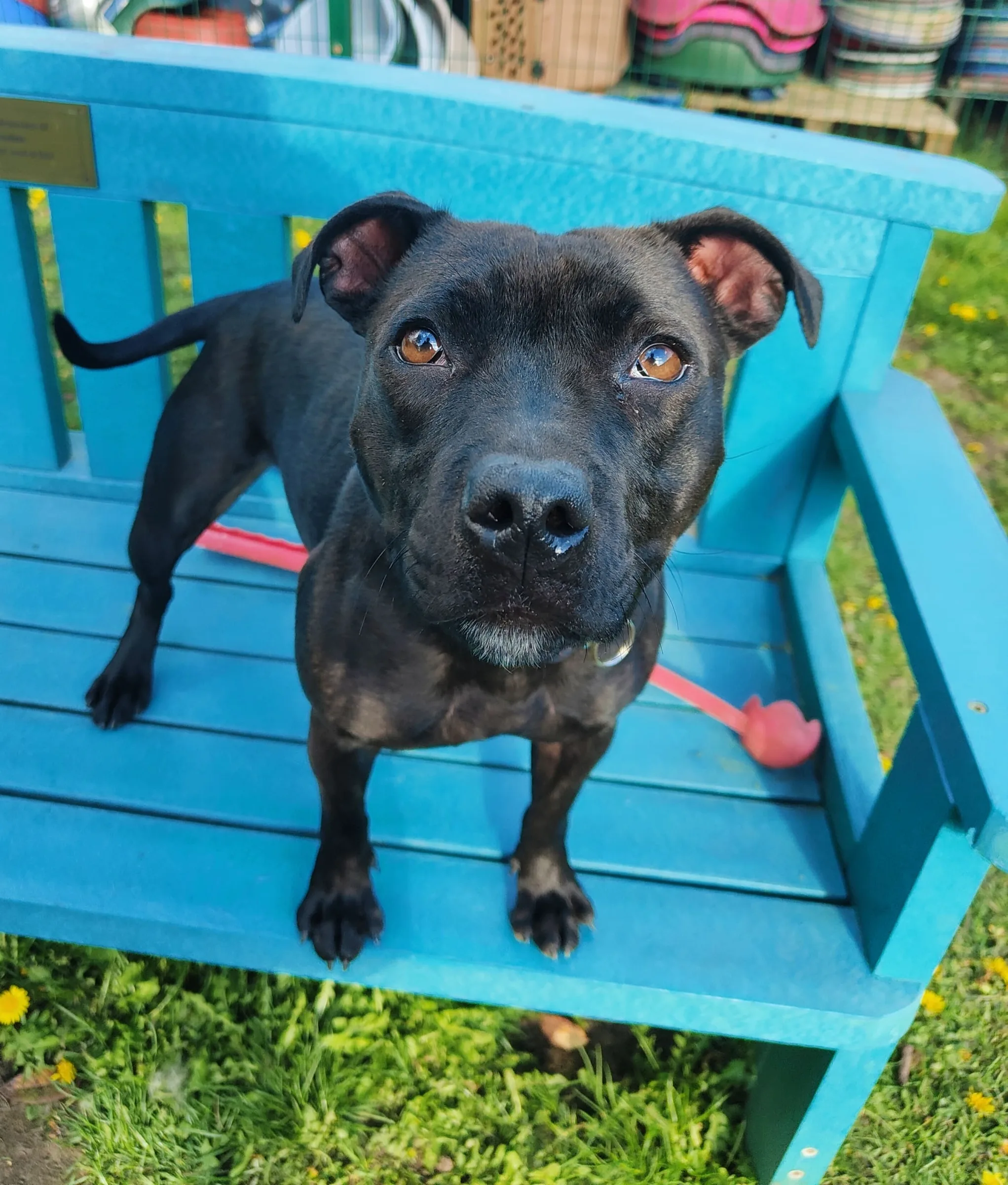 Kali