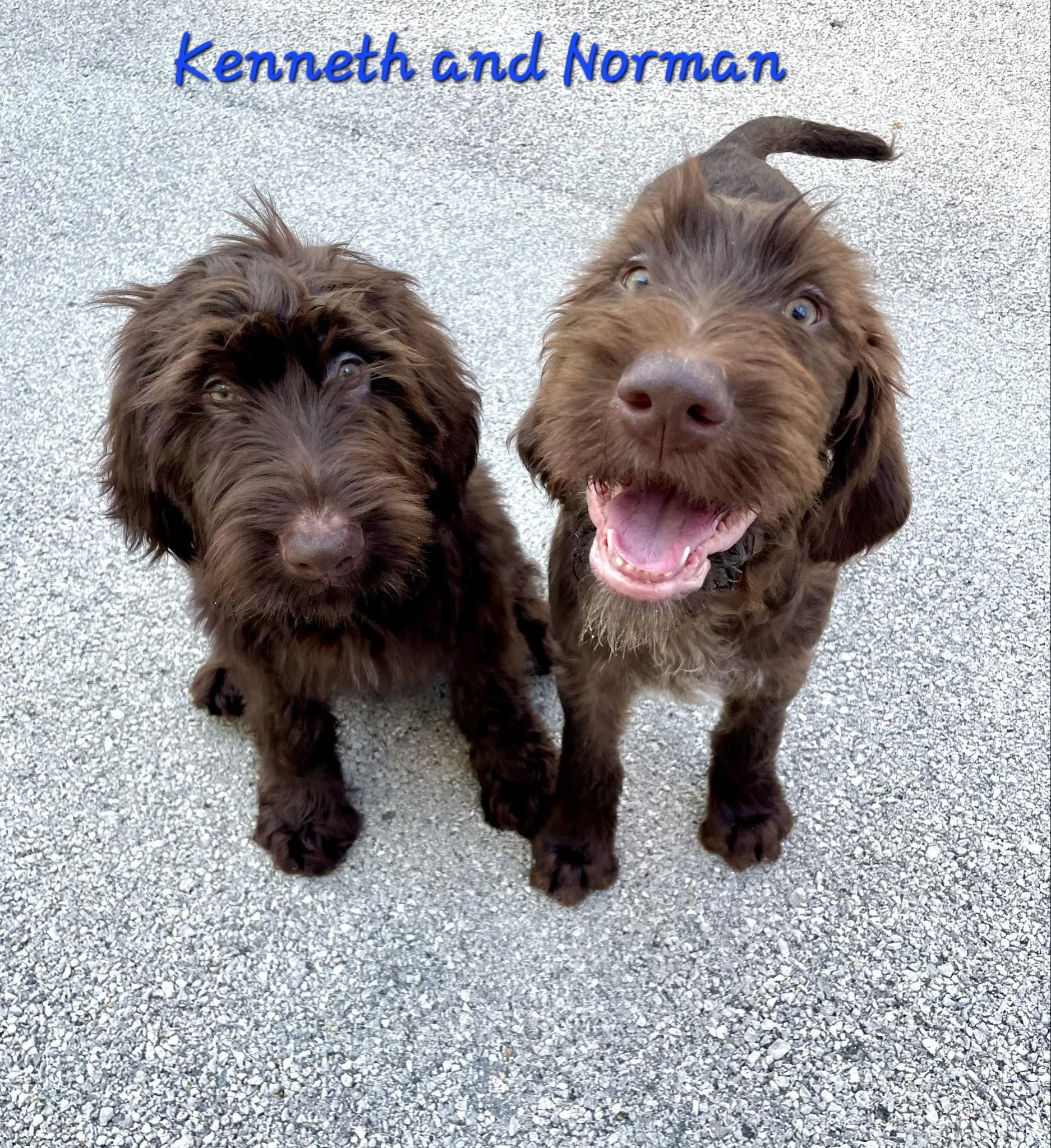 Kenneth and Norman