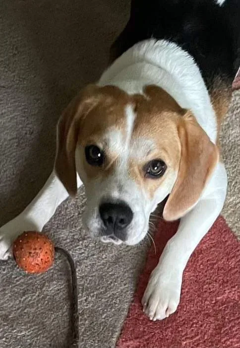 Murphy