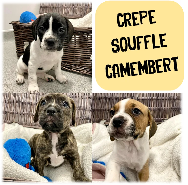 Crepe, Souffle & Camembert