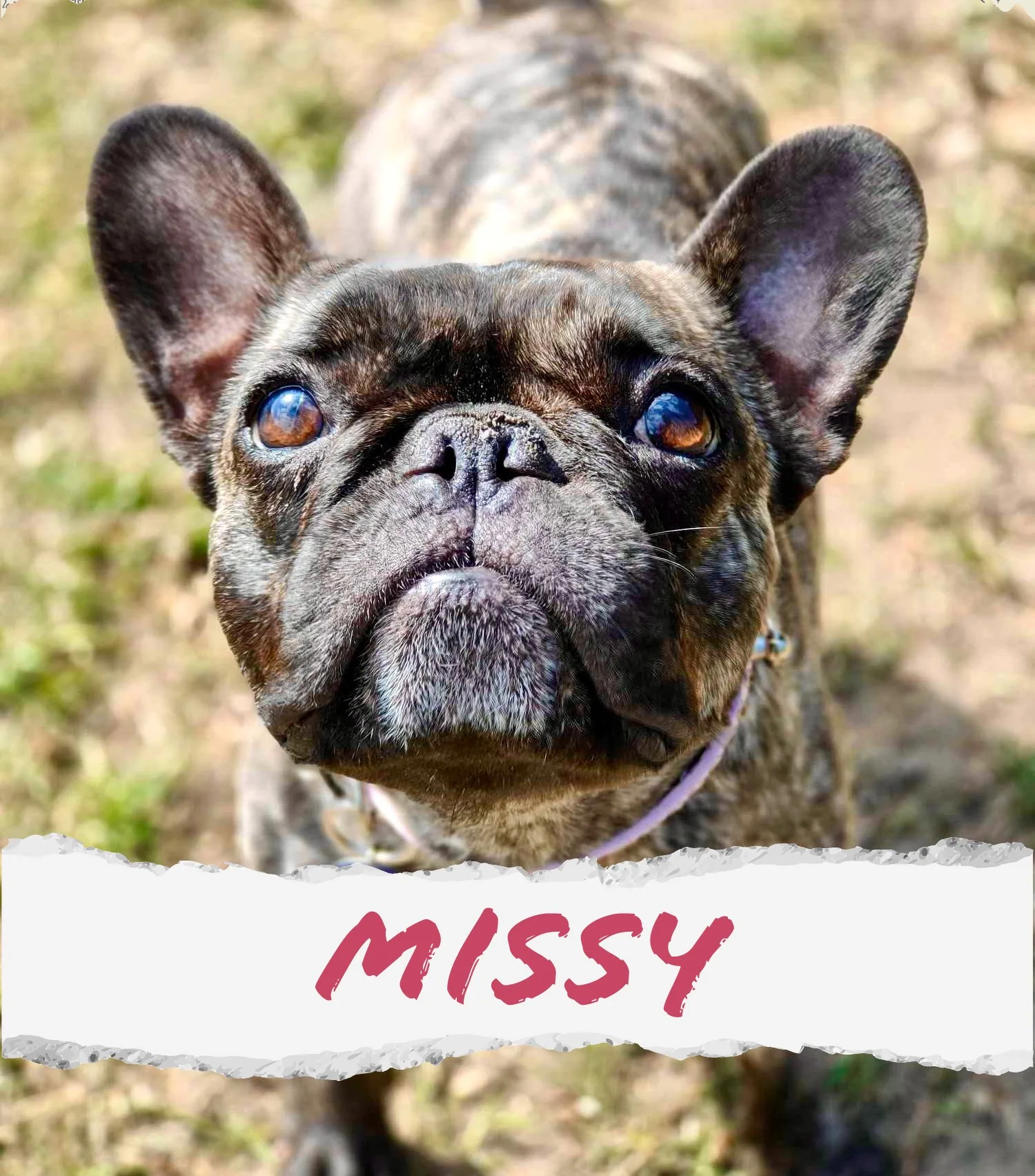 Missy