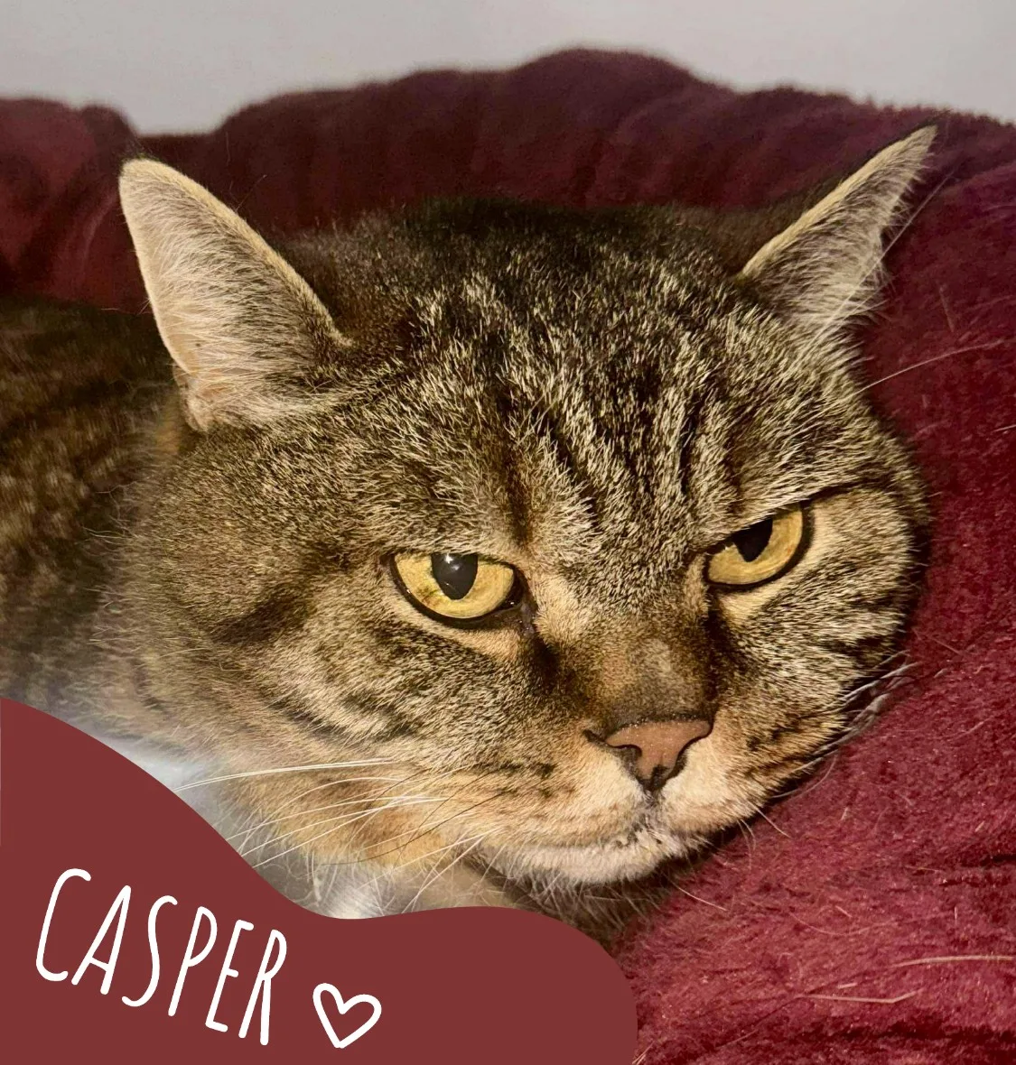 Casper
