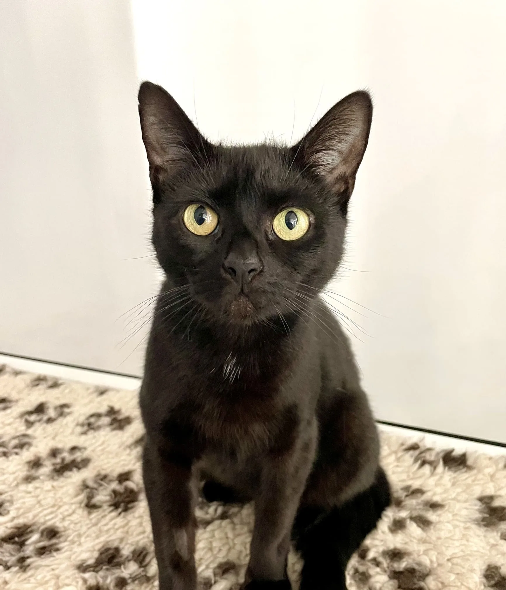 Margo