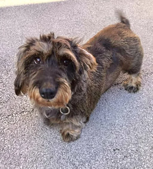 Millie