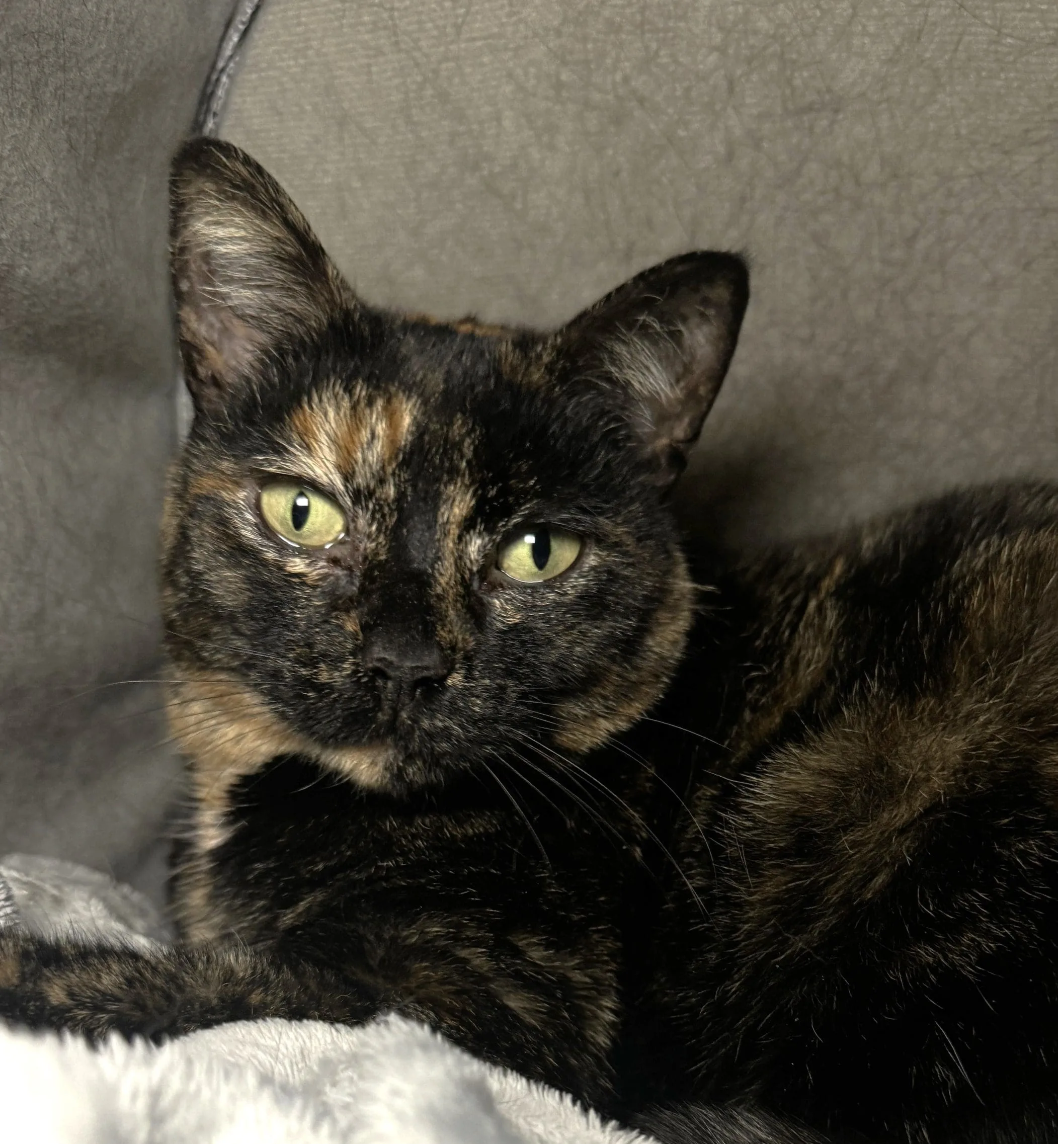 Luna