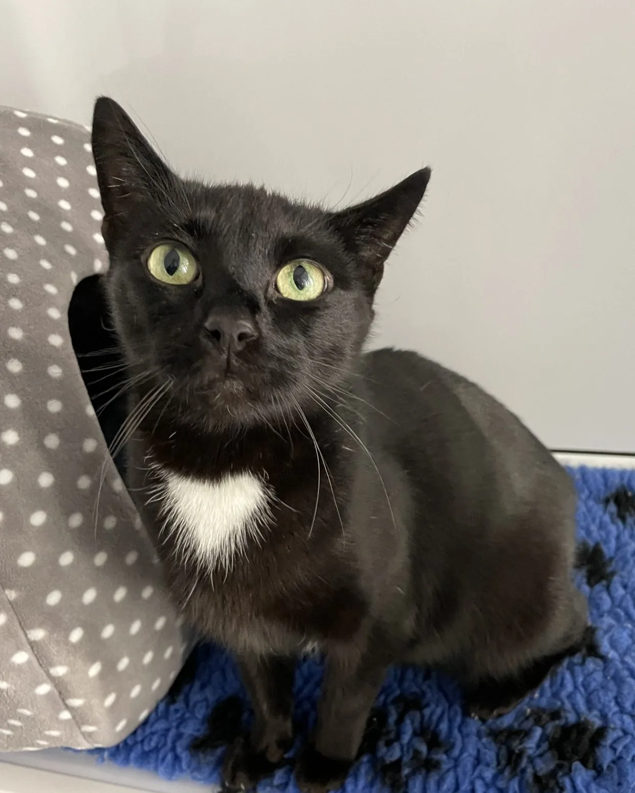 Salem