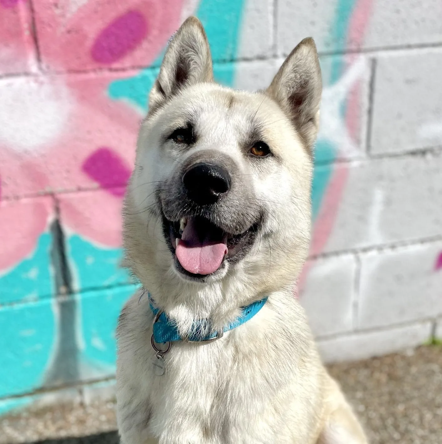 Duncan