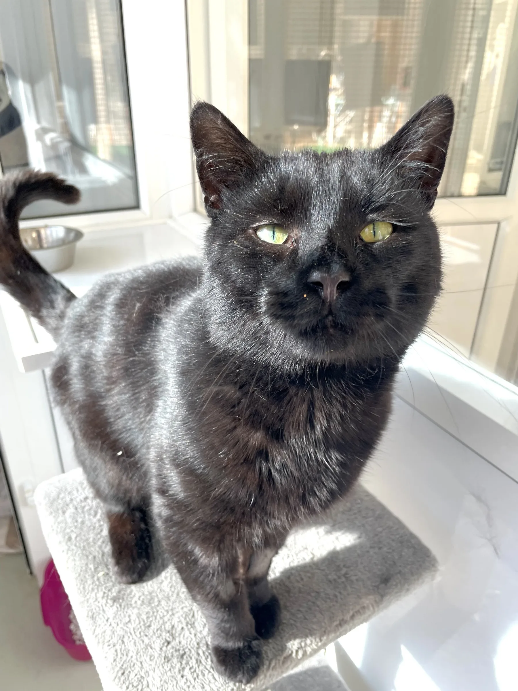 Salem