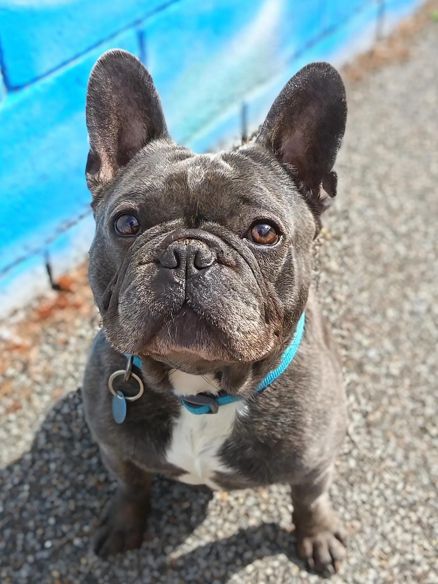 Meatball
