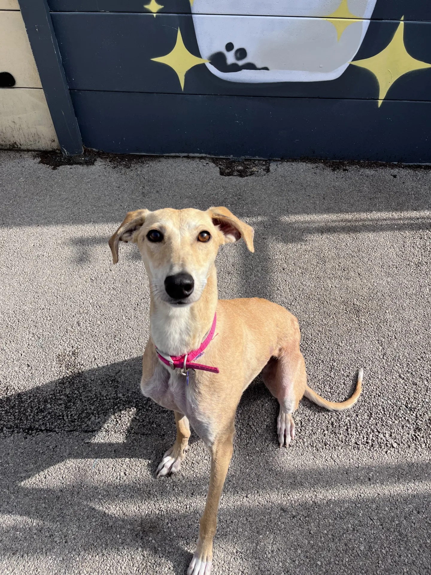Mary