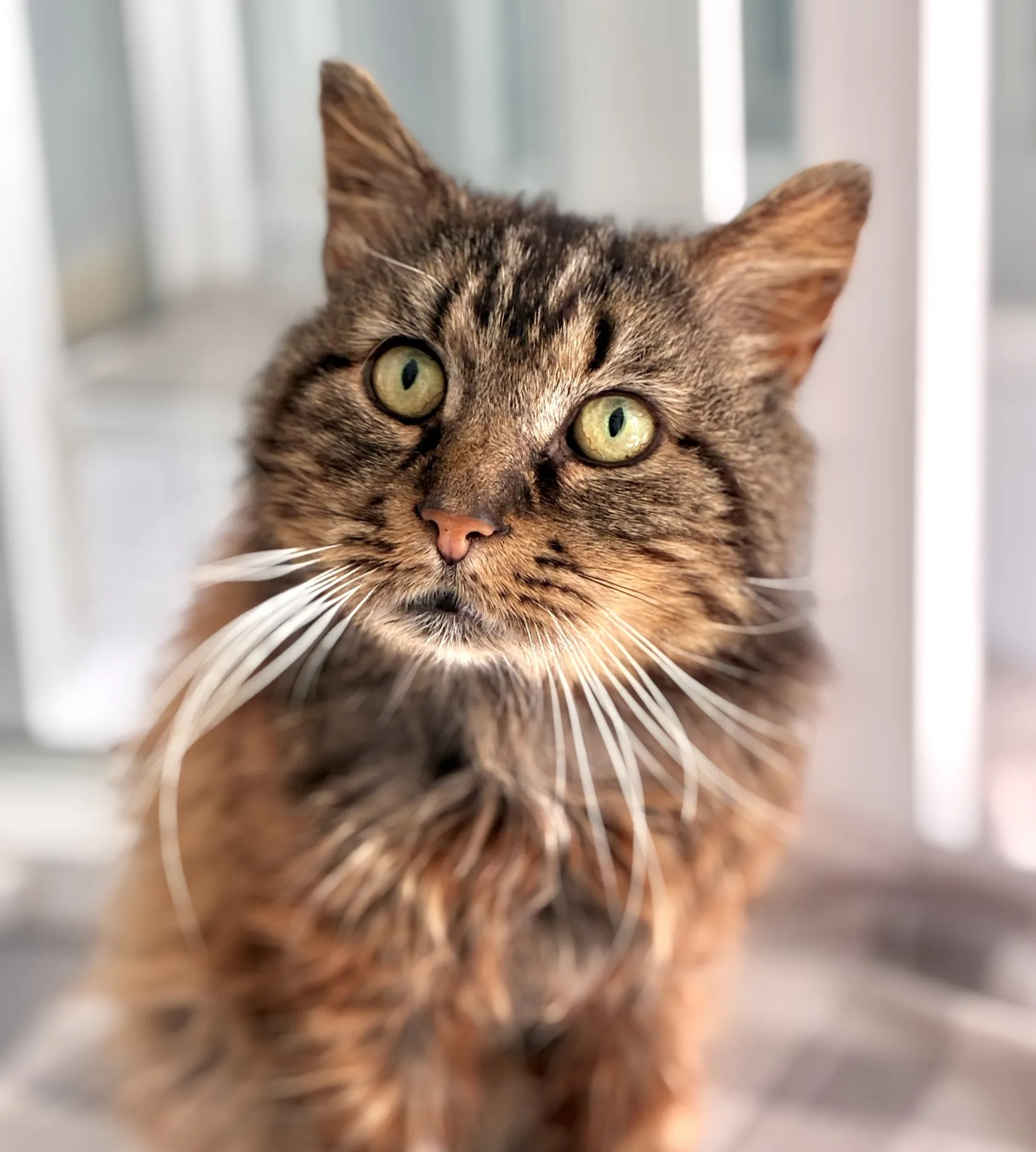 Rusty