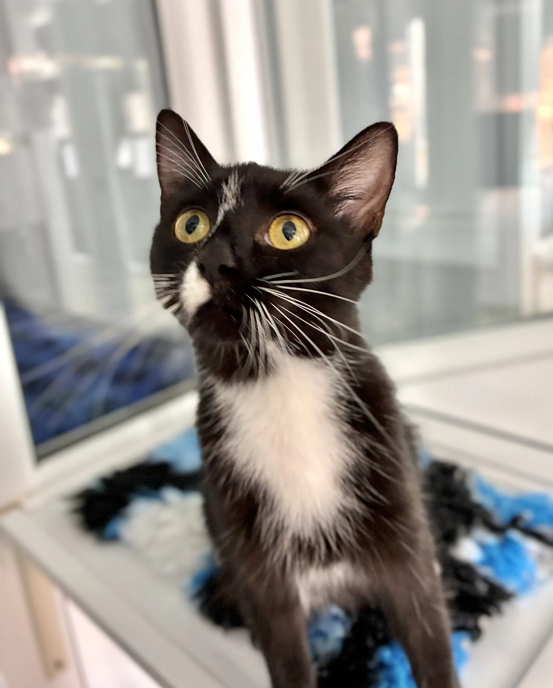 Luna