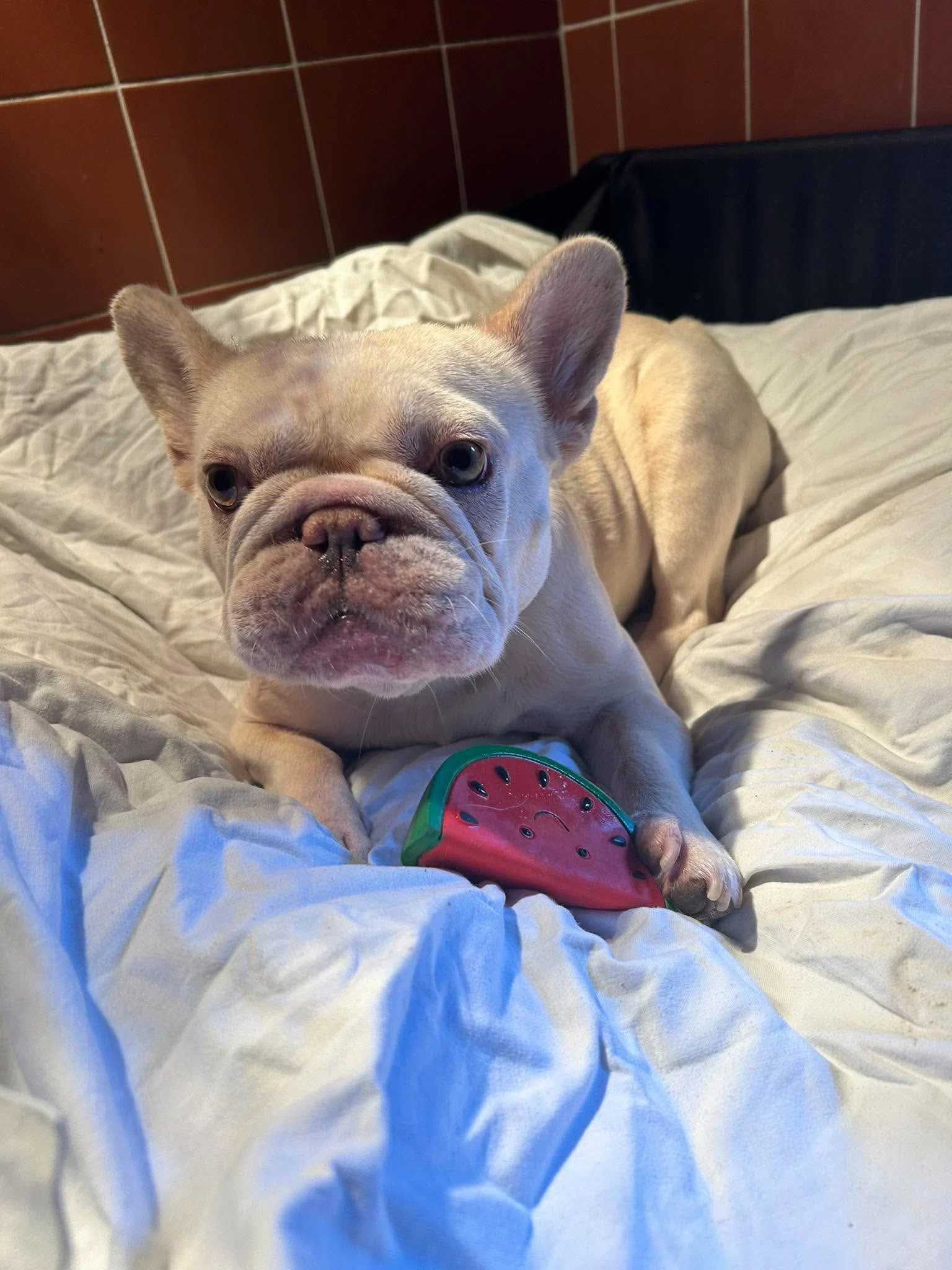 Elsa
